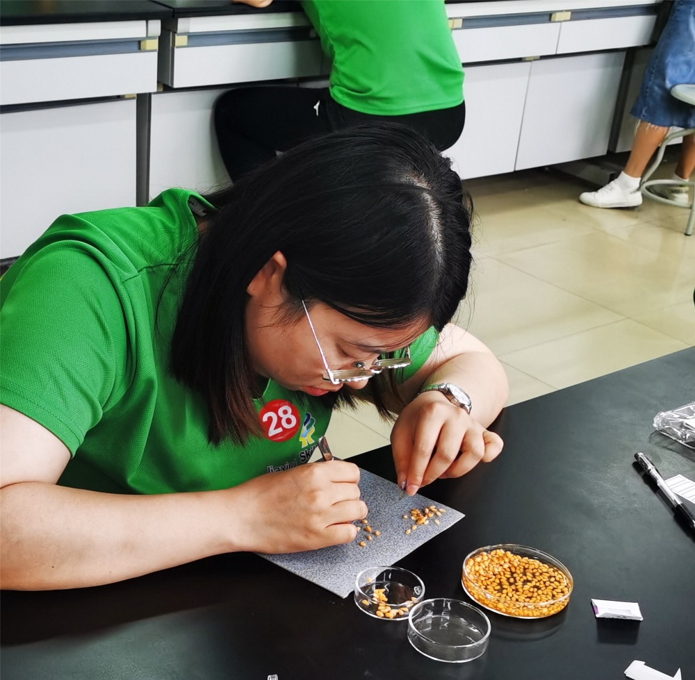 K8·凯发(中国)天生赢家·一触即发