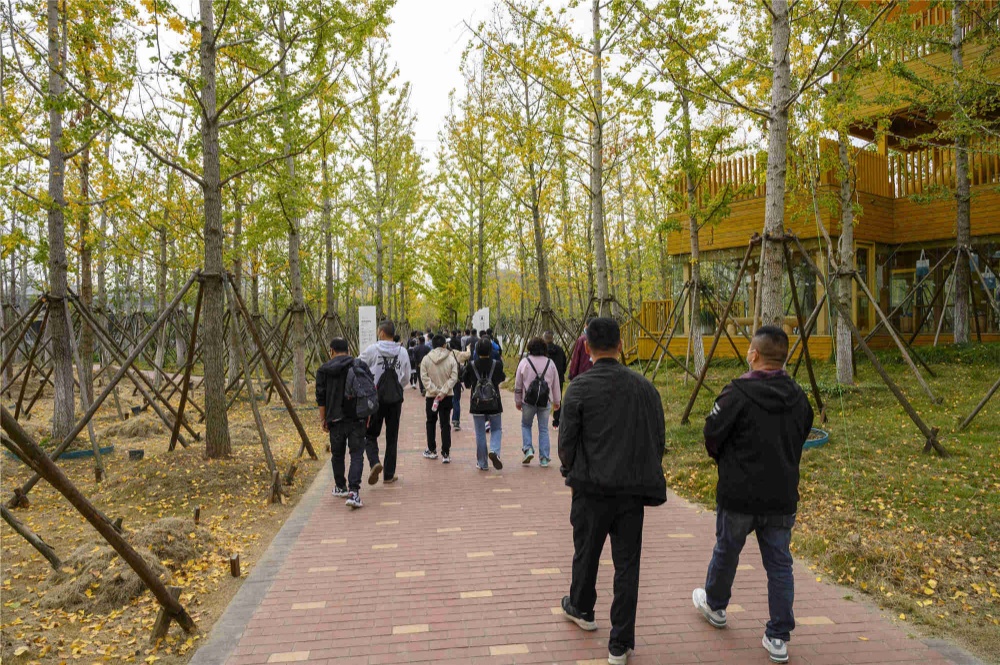 K8·凯发(中国)天生赢家·一触即发